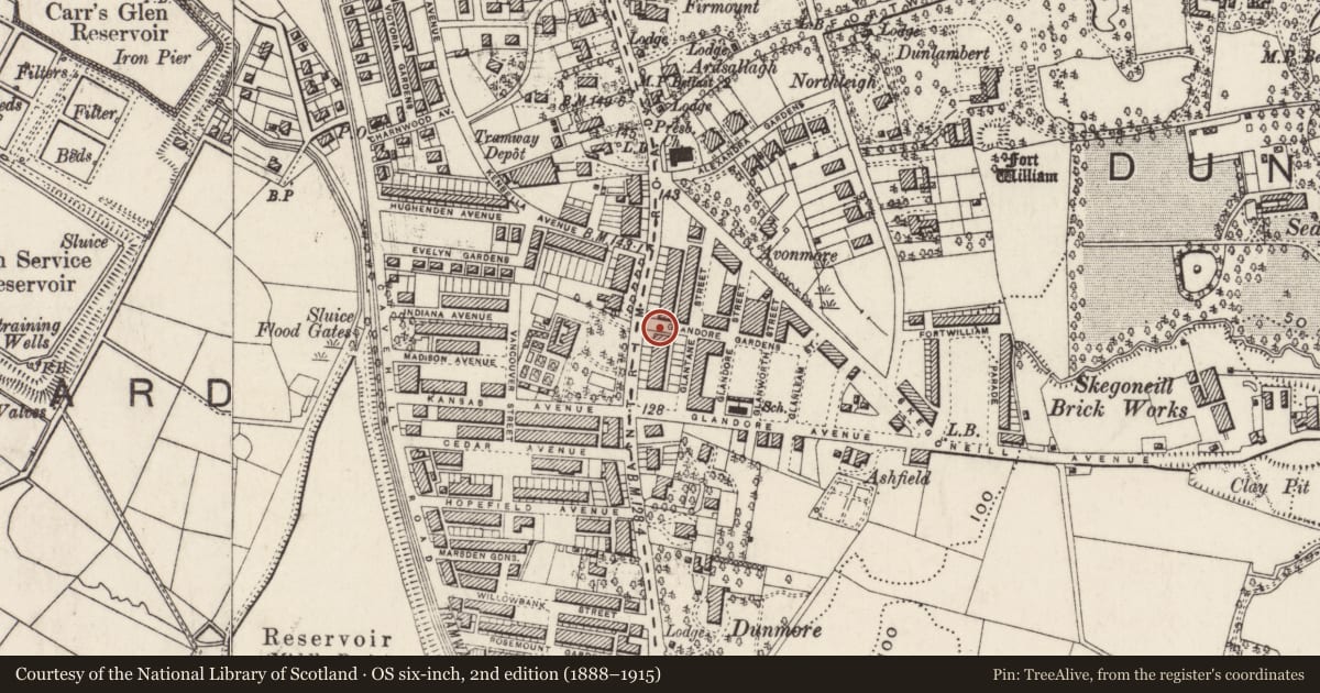 Ordnance Survey six-inch map, 2nd edition (1888–1915) covering the location of 533 Antrim Road, Skegoniell, Belfast, with a pin at the register's coordinates