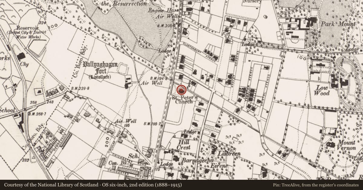 Ordnance Survey six-inch map, 2nd edition (1888–1915) covering the location of St Peter's Church of Ireland, Ballyaghagan, Belfast, with a pin at the register's coordinates