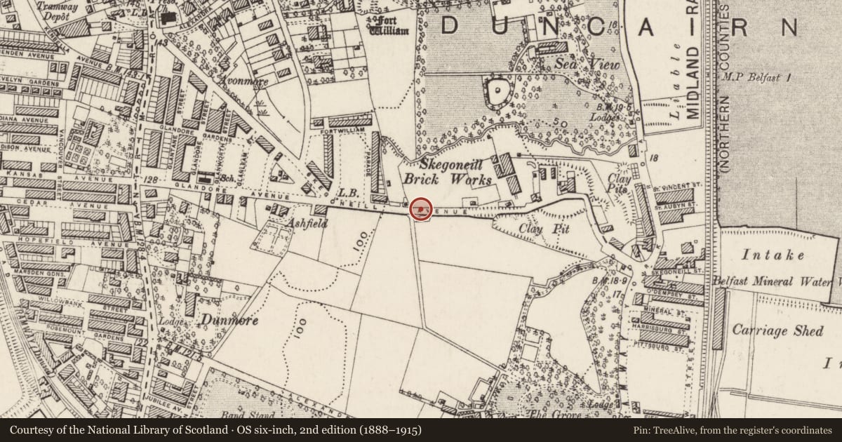 Ordnance Survey six-inch map, 2nd edition (1888–1915) covering the location of 159 Skegoniel Avenue, Skegoneill, Belfast, with a pin at the register's coordinates