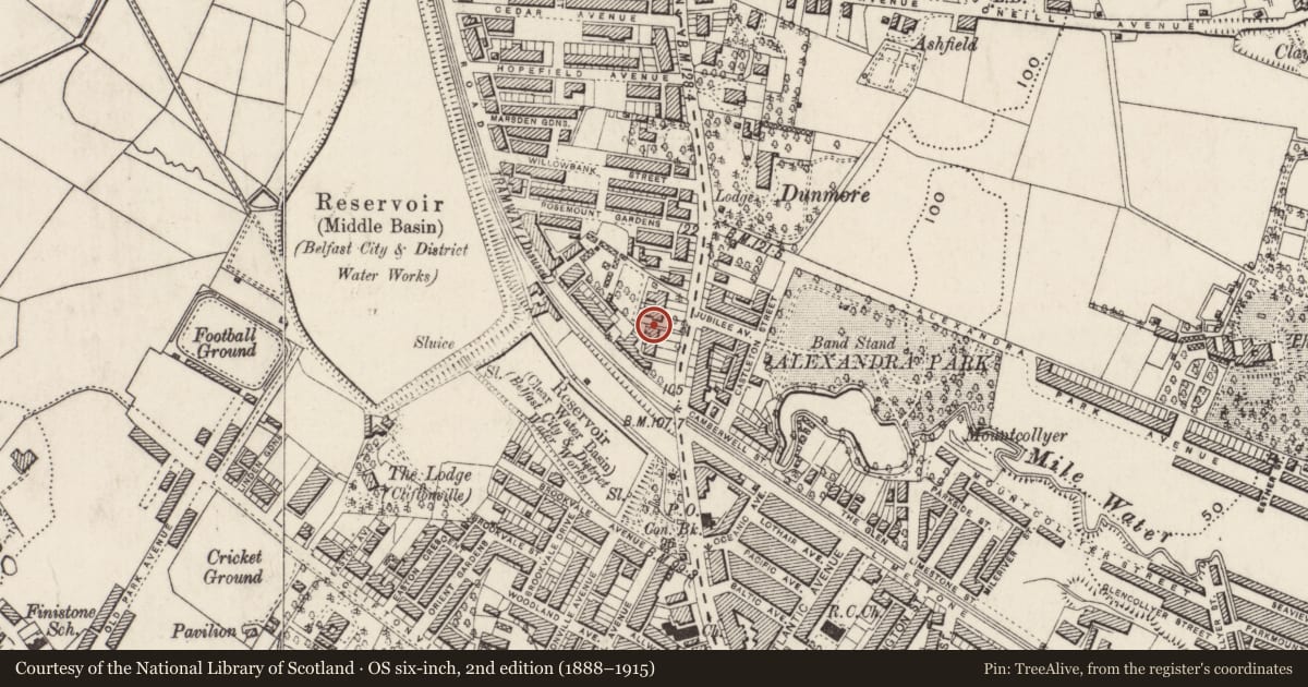 Ordnance Survey six-inch map, 2nd edition (1888–1915) covering the location of 272 Antrim Road, Skegoneill, Belfast, with a pin at the register's coordinates