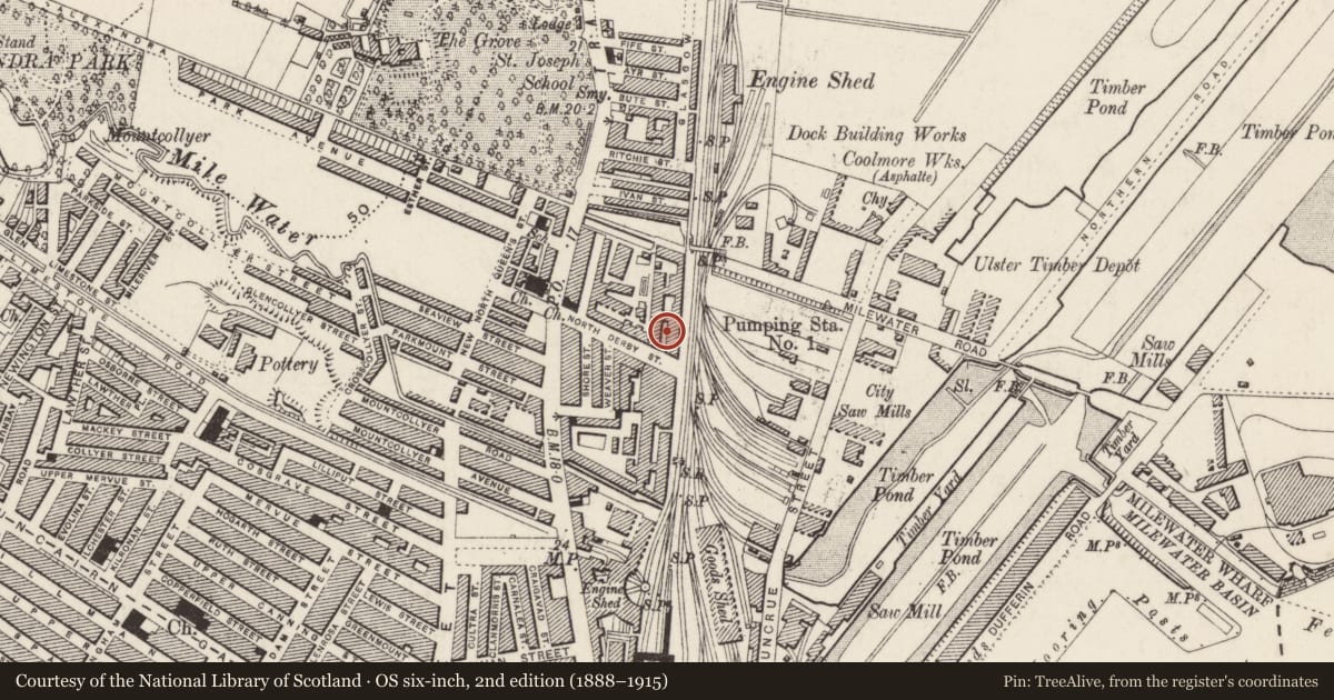 Ordnance Survey six-inch map, 2nd edition (1888–1915) covering the location of Jennymount Mill, None, Belfast, with a pin at the register's coordinates