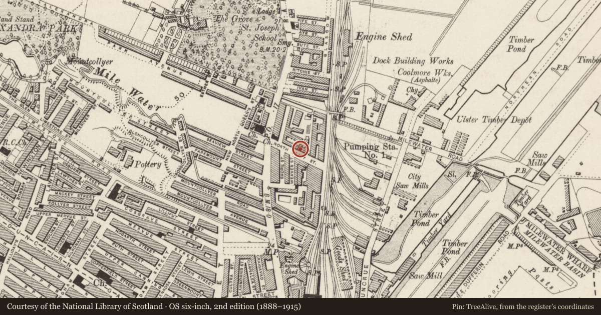 Ordnance Survey six-inch map, 2nd edition (1888–1915) covering the location of The Lanyon Building, None, Belfast, with a pin at the register's coordinates