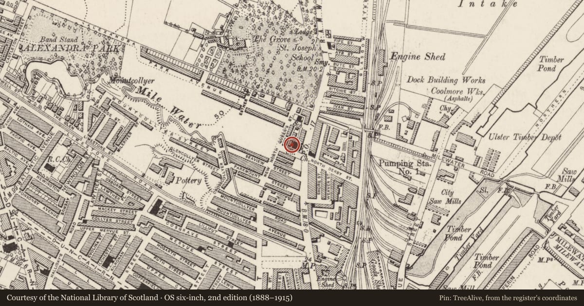 Ordnance Survey six-inch map, 2nd edition (1888–1915) covering the location of Alexandra Presbyterian Church, Skegoneill, Belfast, with a pin at the register's coordinates