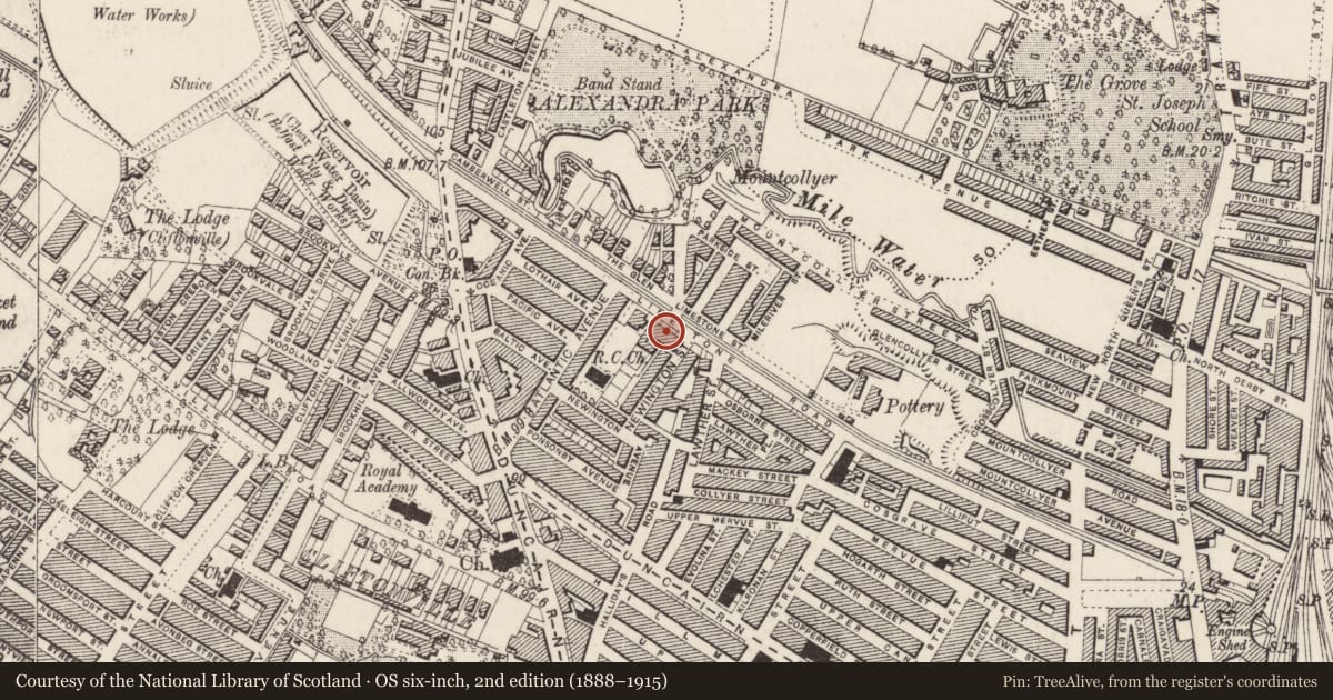Ordnance Survey six-inch map, 2nd edition (1888–1915) covering the location of 216-220 Limestone Road, Town Parks, Belfast, with a pin at the register's coordinates