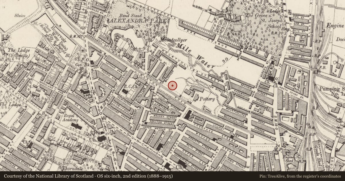 Ordnance Survey six-inch map, 2nd edition (1888–1915) covering the location of Currie Primary School, Town Parks, Belfast, with a pin at the register's coordinates