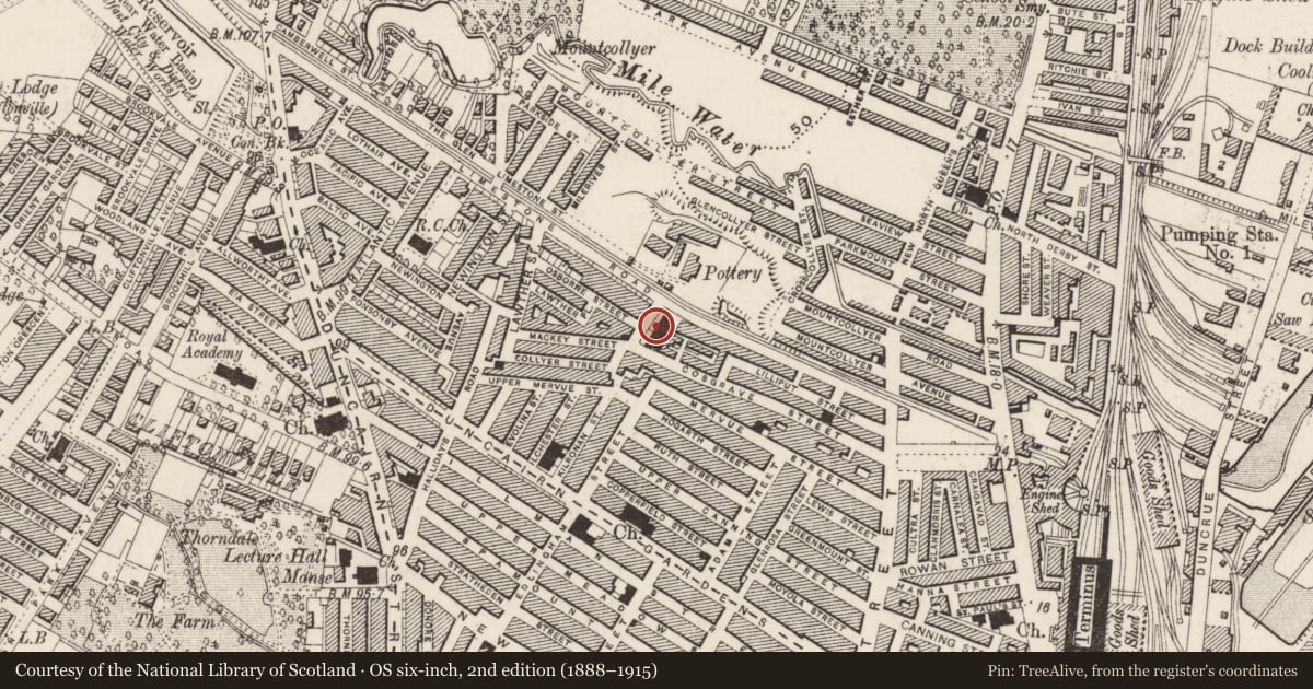Ordnance Survey six-inch map, 2nd edition (1888–1915) covering the location of Newington Presbyterian Church Hall Limestone Road, Town Parks, Belfast, with a pin at the register's coordinates