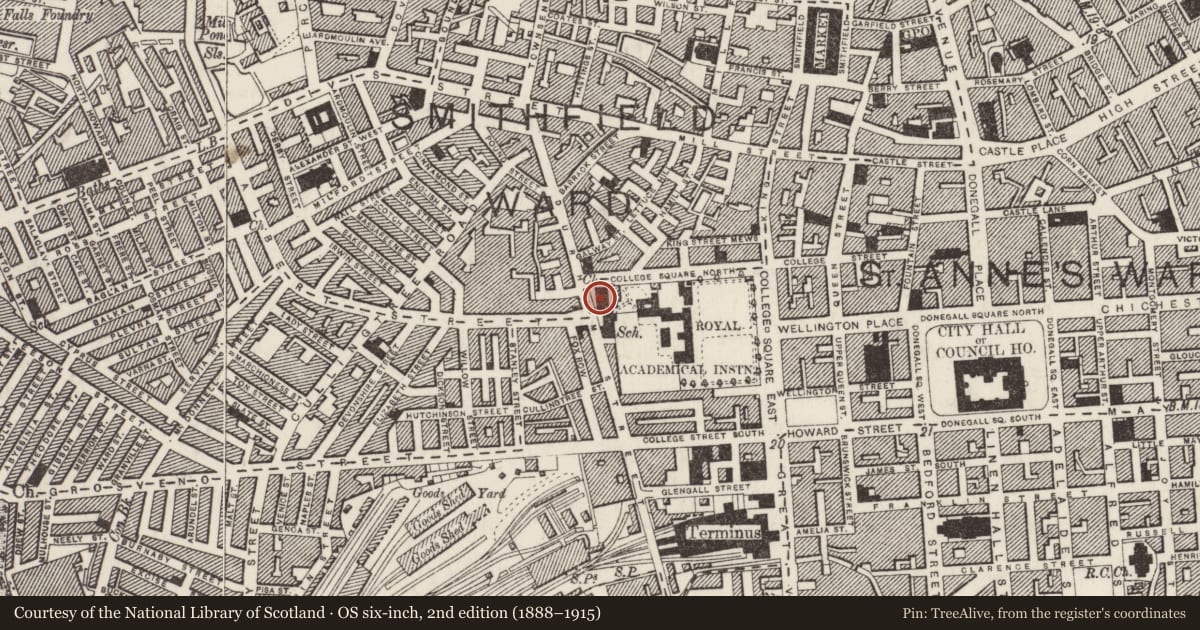 Ordnance Survey six-inch map, 2nd edition (1888–1915) covering the location of Christchurch Centre of Excellence, Town Parks, Belfast, with a pin at the register's coordinates
