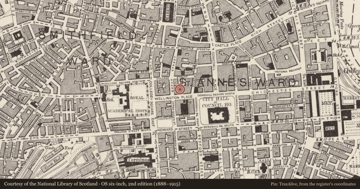 Ordnance Survey six-inch map, 2nd edition (1888–1915) covering the location of 11 Wellington Place, Town Parks, Belfast, with a pin at the register's coordinates