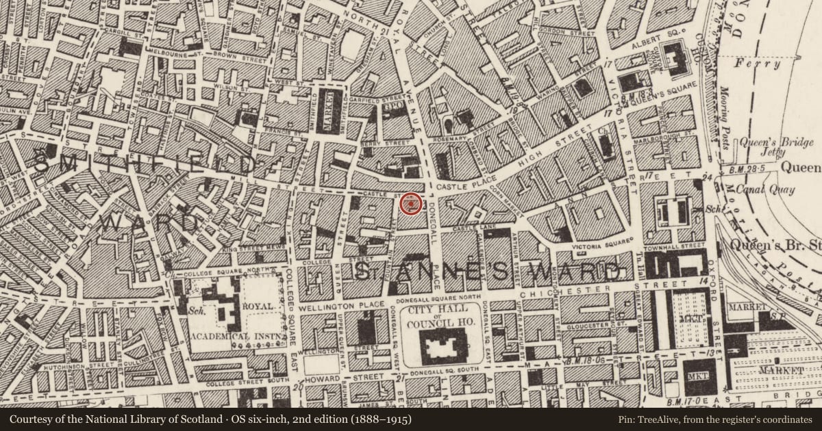 Ordnance Survey six-inch map, 2nd edition (1888–1915) covering the location of Anderson and McCauley, Town Parks, Belfast, with a pin at the register's coordinates