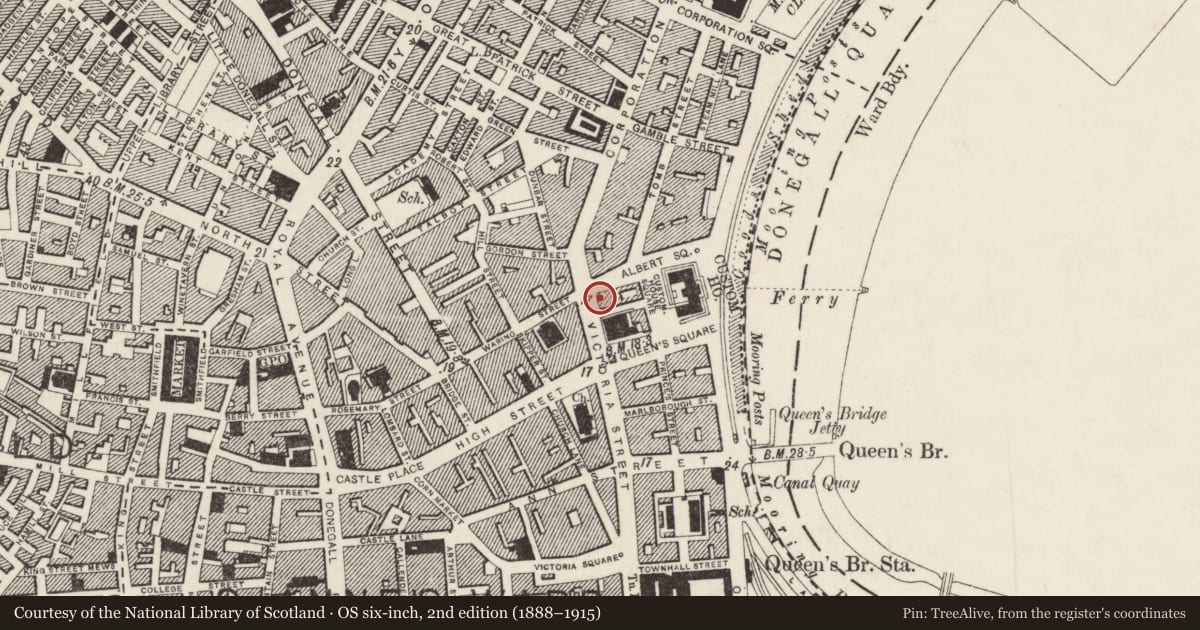 Ordnance Survey six-inch map, 2nd edition (1888–1915) covering the location of Head Line Building, Town Parks, Belfast, with a pin at the register's coordinates
