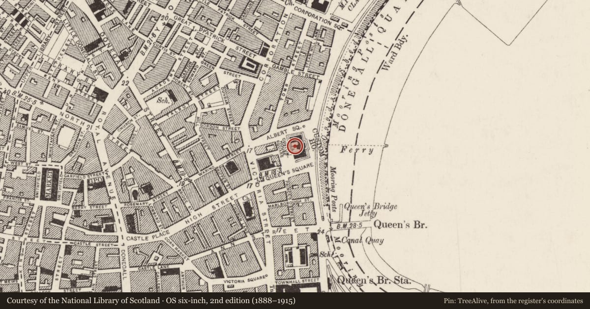 Ordnance Survey six-inch map, 2nd edition (1888–1915) covering the location of Custom House, Town Parks, Belfast, with a pin at the register's coordinates