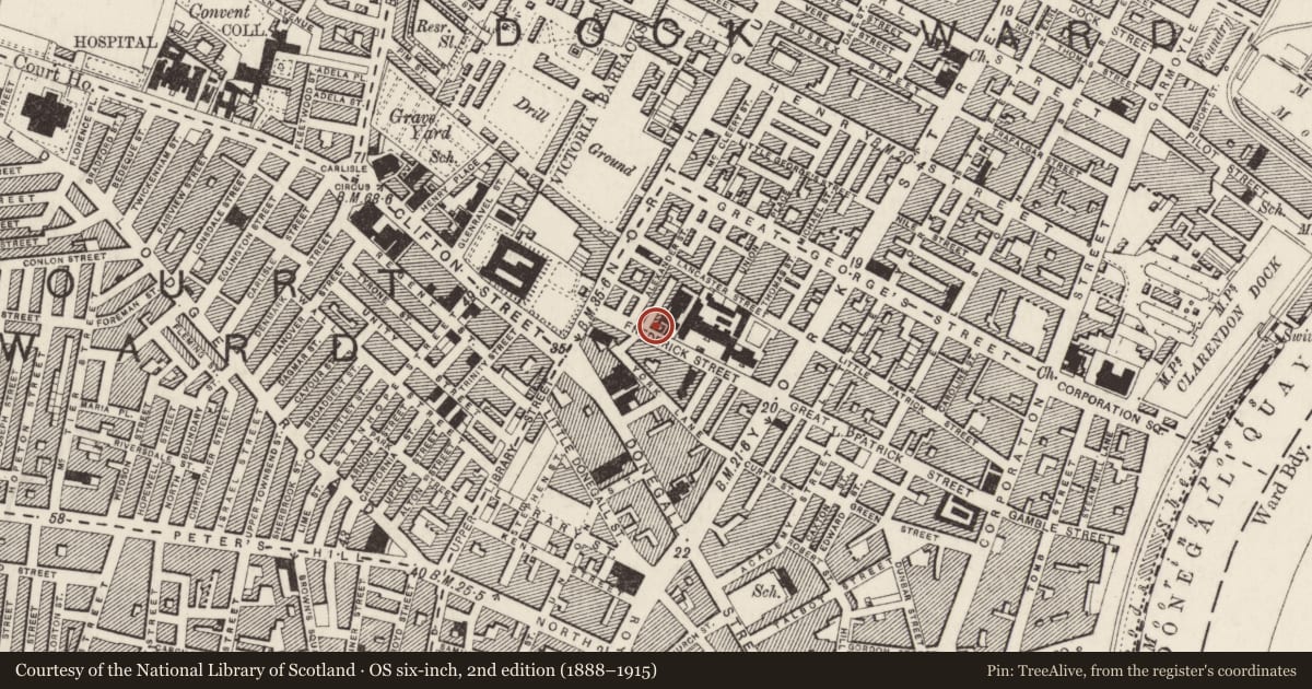 Ordnance Survey six-inch map, 2nd edition (1888–1915) covering the location of Friends Institute, Town Parks, Belfast, with a pin at the register's coordinates