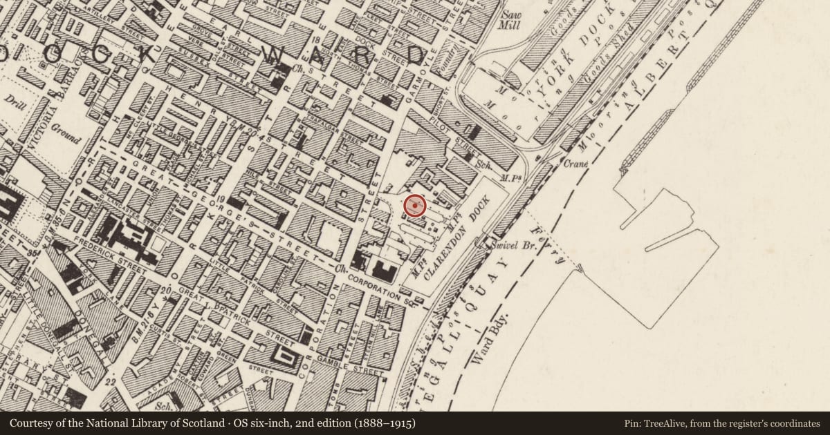 Ordnance Survey six-inch map, 2nd edition (1888–1915) covering the location of Graving Dock No.2, Town Parks, Belfast, with a pin at the register's coordinates