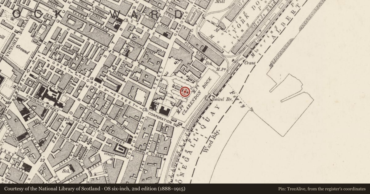 Ordnance Survey six-inch map, 2nd edition (1888–1915) covering the location of Pump House, Town Parks, Belfast, with a pin at the register's coordinates