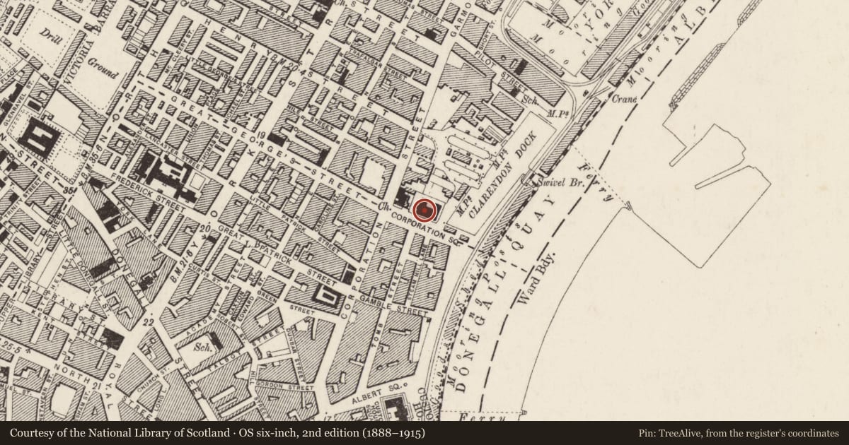 Ordnance Survey six-inch map, 2nd edition (1888–1915) covering the location of Belfast Harbour Office, Town Parks, Belfast, with a pin at the register's coordinates