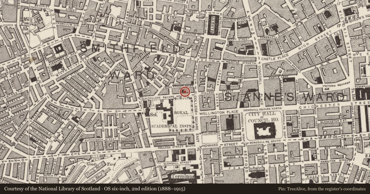 Ordnance Survey six-inch map, 2nd edition (1888–1915) covering the location of Wilton House, Town Parks, Belfast, with a pin at the register's coordinates