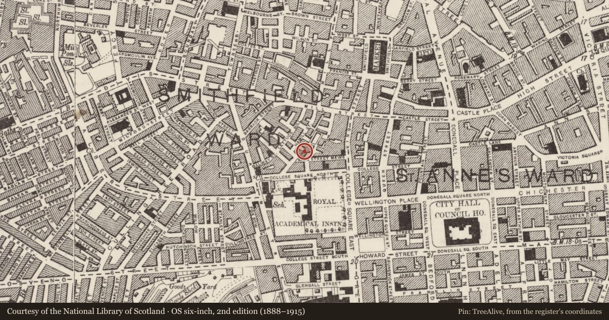 Ordnance Survey six-inch map, 2nd edition (1888–1915) covering the location of 3 College Place North, Town Parks, Belfast, with a pin at the register's coordinates