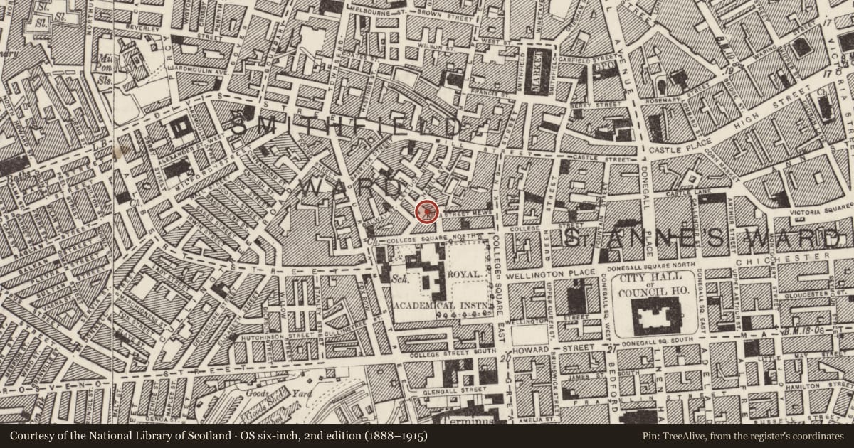 Ordnance Survey six-inch map, 2nd edition (1888–1915) covering the location of 13 College Place North, Town Parks, Belfast, with a pin at the register's coordinates