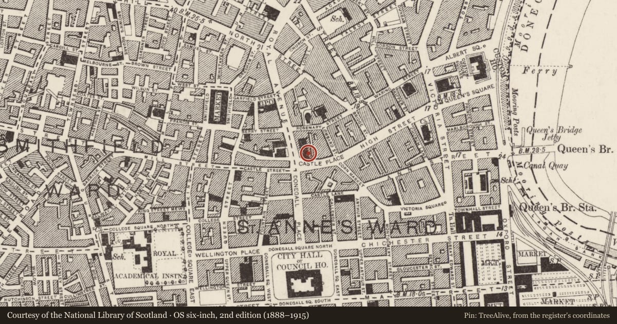 Ordnance Survey six-inch map, 2nd edition (1888–1915) covering the location of 17-21 Castle Place, Town Parks, Belfast, with a pin at the register's coordinates