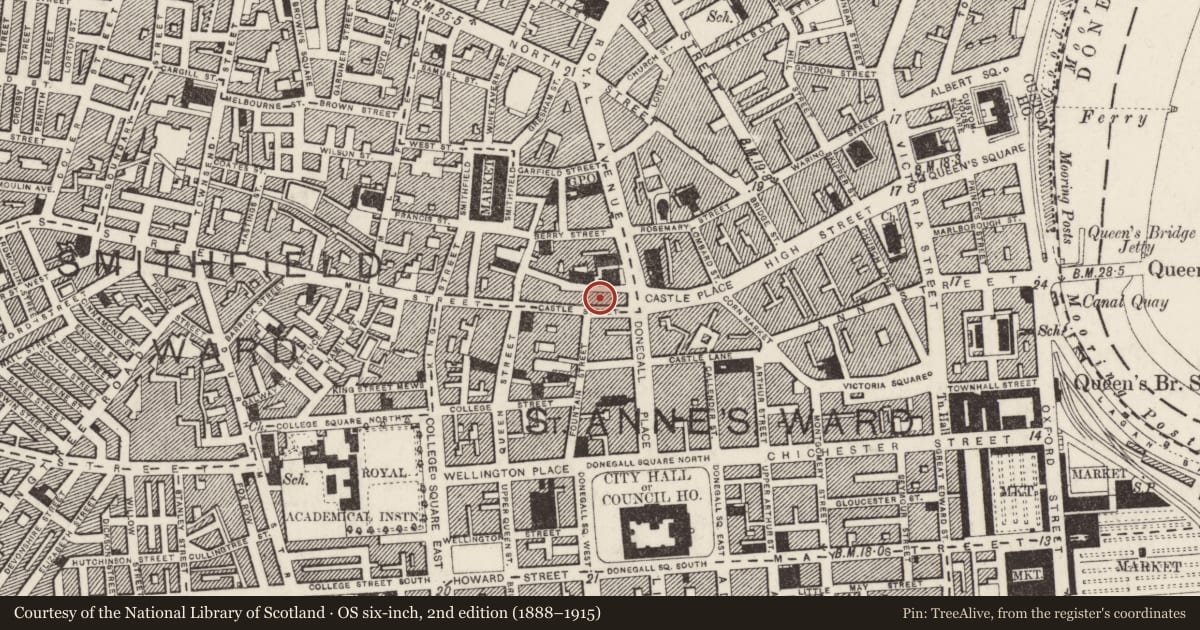 Ordnance Survey six-inch map, 2nd edition (1888–1915) covering the location of Bank Buildings, Town Parks, Belfast, with a pin at the register's coordinates