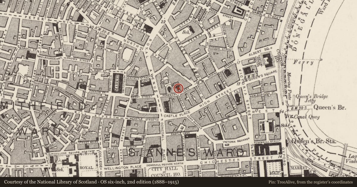 Ordnance Survey six-inch map, 2nd edition (1888–1915) covering the location of Masonic Hall, Town Parks, Belfast, with a pin at the register's coordinates