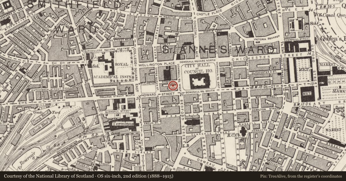 Ordnance Survey six-inch map, 2nd edition (1888–1915) covering the location of Danske Bank, Town parks, Belfast, with a pin at the register's coordinates