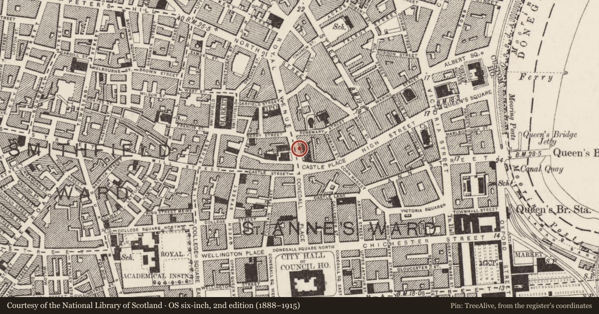 Ordnance Survey six-inch map, 2nd edition (1888–1915) covering the location of 7-19 Royal Avenue, Town Parks, Belfast, with a pin at the register's coordinates