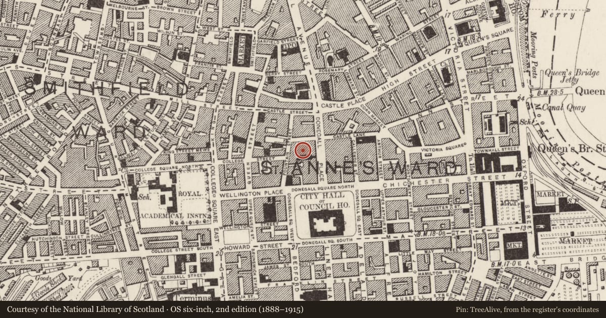 Ordnance Survey six-inch map, 2nd edition (1888–1915) covering the location of Queens Arcade, Town Parks, Belfast, with a pin at the register's coordinates