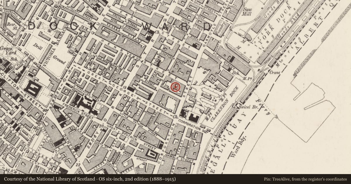 Ordnance Survey six-inch map, 2nd edition (1888–1915) covering the location of Dalgety Agriculture Ltd, Belfast, with a pin at the register's coordinates
