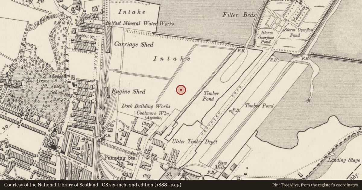 Ordnance Survey six-inch map, 2nd edition (1888–1915) covering the location of McCue, Dick & Co, Belfast, with a pin at the register's coordinates