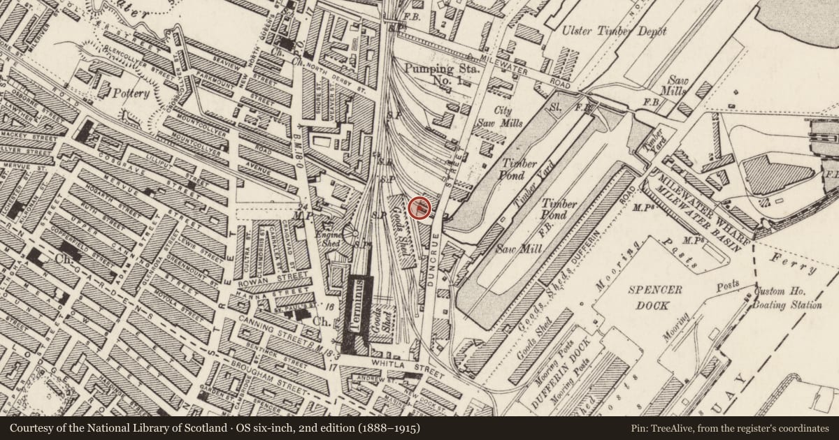 Ordnance Survey six-inch map, 2nd edition (1888–1915) covering the location of Flat Roofed House, Belfast, with a pin at the register's coordinates