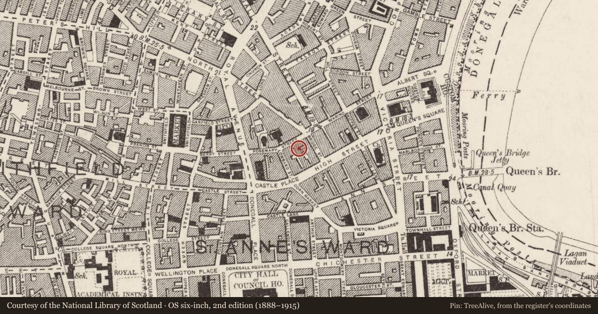 Ordnance Survey six-inch map, 2nd edition (1888–1915) covering the location of 1-21 Bridge Street, Town Parks, Belfast, with a pin at the register's coordinates