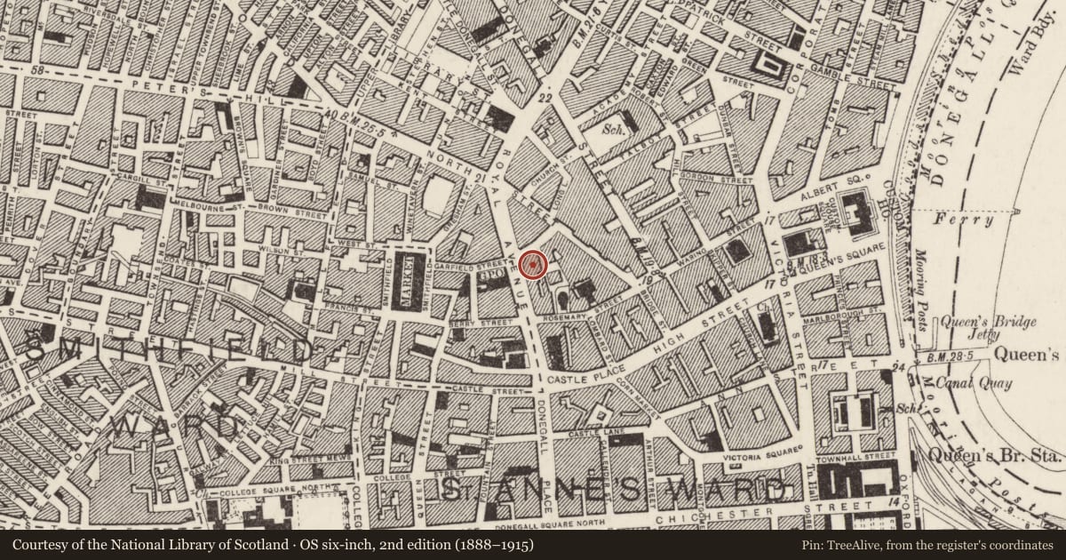 Ordnance Survey six-inch map, 2nd edition (1888–1915) covering the location of Hampton House, Town Parks, Belfast, with a pin at the register's coordinates