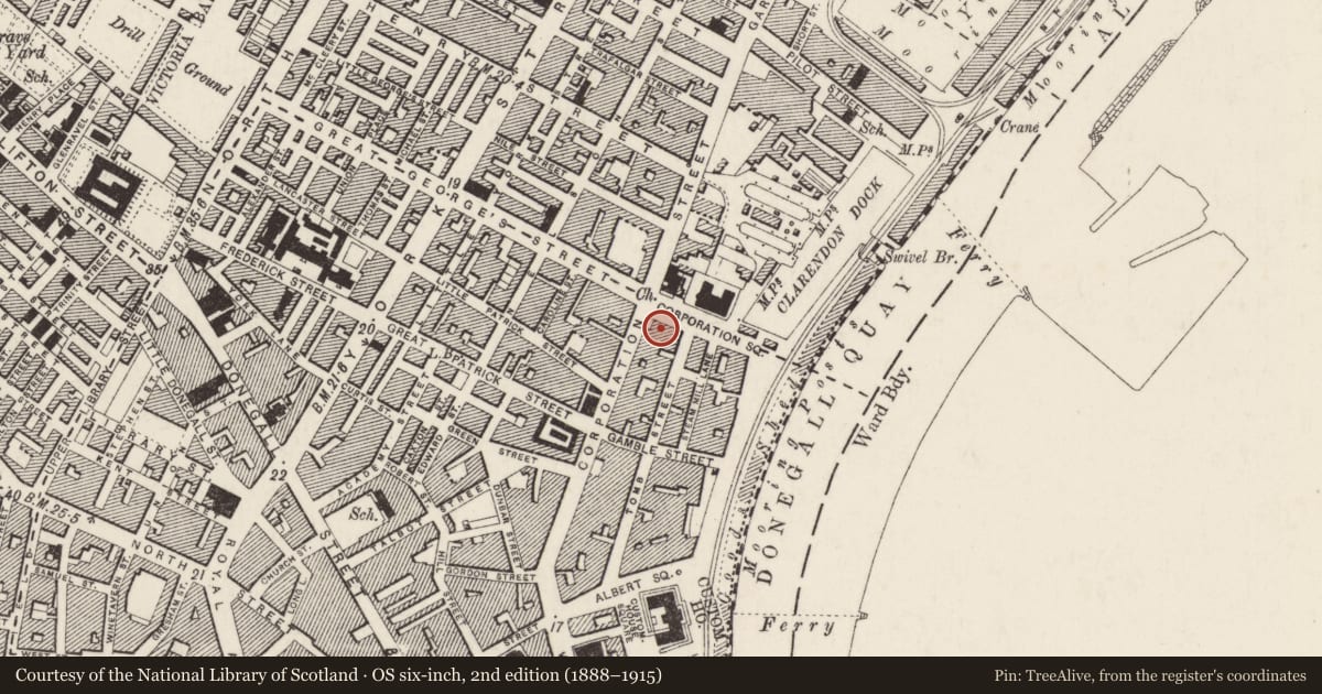 Ordnance Survey six-inch map, 2nd edition (1888–1915) covering the location of Direct Wine Shipments, Town Parks, Belfast, with a pin at the register's coordinates