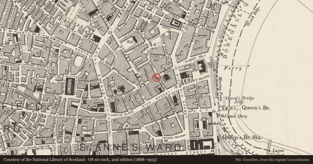 Ordnance Survey six-inch map, 2nd edition (1888–1915) covering the location of 29-31 Waring Street, Town Parks, Belfast, with a pin at the register's coordinates