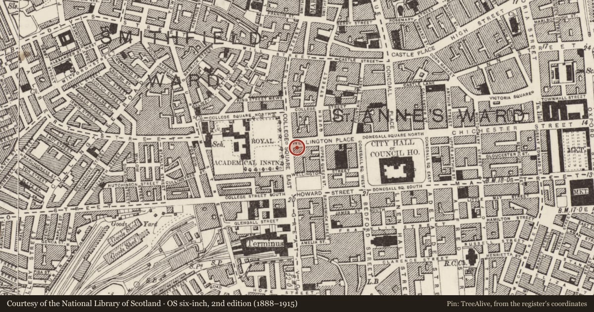 Ordnance Survey six-inch map, 2nd edition (1888–1915) covering the location of 58 Wellington Place, Town Parks, Belfast, with a pin at the register's coordinates