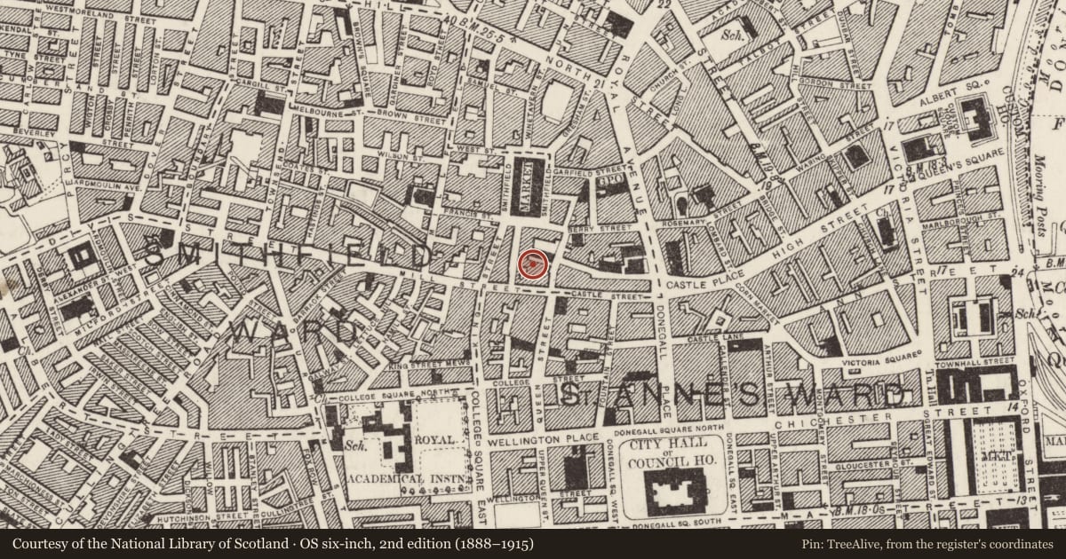 Ordnance Survey six-inch map, 2nd edition (1888–1915) covering the location of Belfast Electric Light Station 6 Chapel Lane (and 9-13 Marquis Street) Belfast BT1 1HH, Town Parks, Belfast, with a pin at the register's coordinates