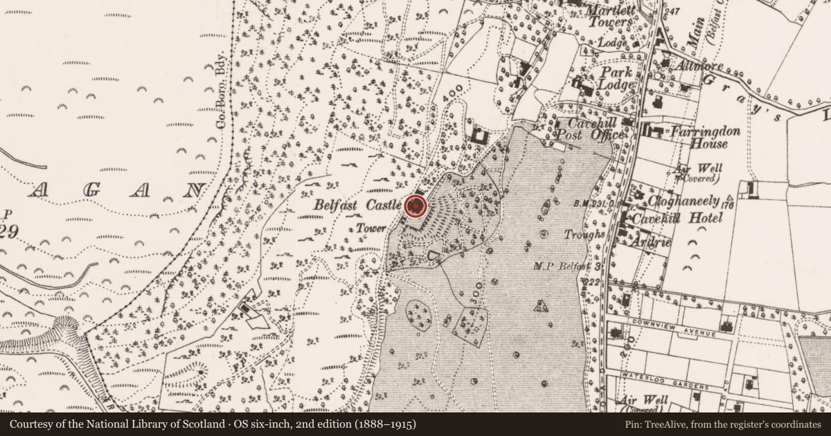 Ordnance Survey six-inch map, 2nd edition (1888–1915) covering the location of Belfast Castle, Low Wood, Belfast, with a pin at the register's coordinates