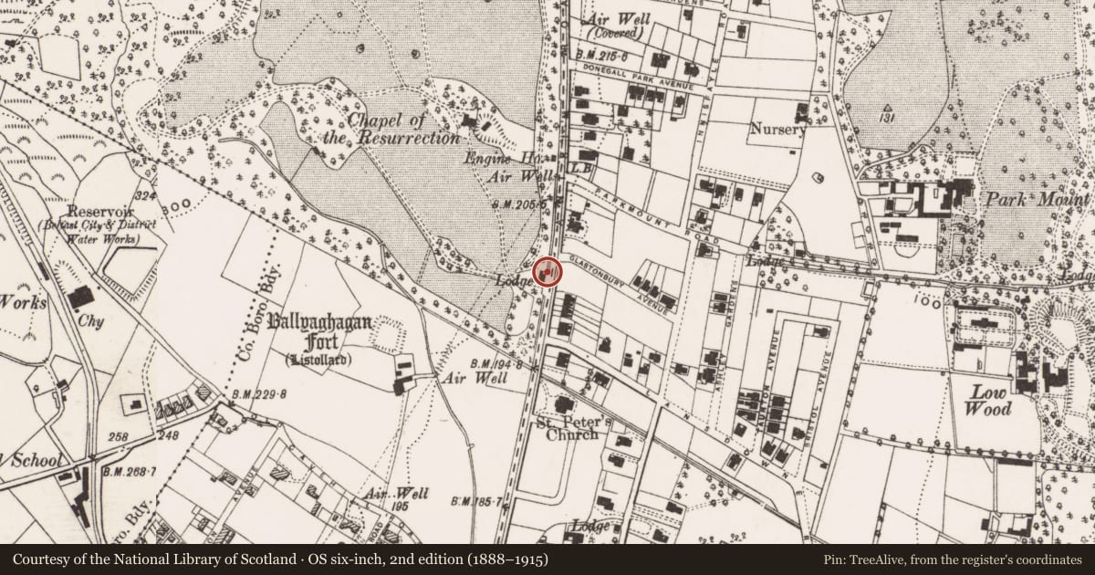 Ordnance Survey six-inch map, 2nd edition (1888–1915) covering the location of The Gate Lodge, Low Wood, Belfast, with a pin at the register's coordinates