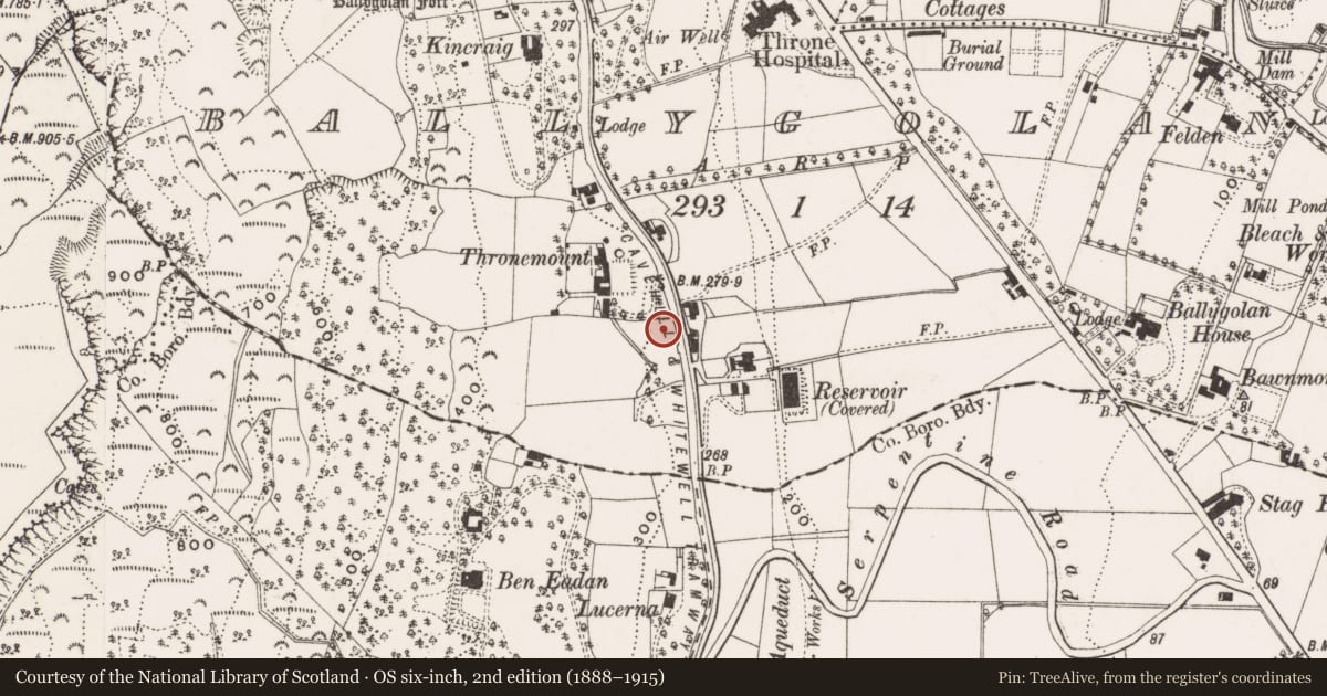 Ordnance Survey six-inch map, 2nd edition (1888–1915) covering the location of 2 Ben Madigan Park, Ballygolan, Belfast, with a pin at the register's coordinates