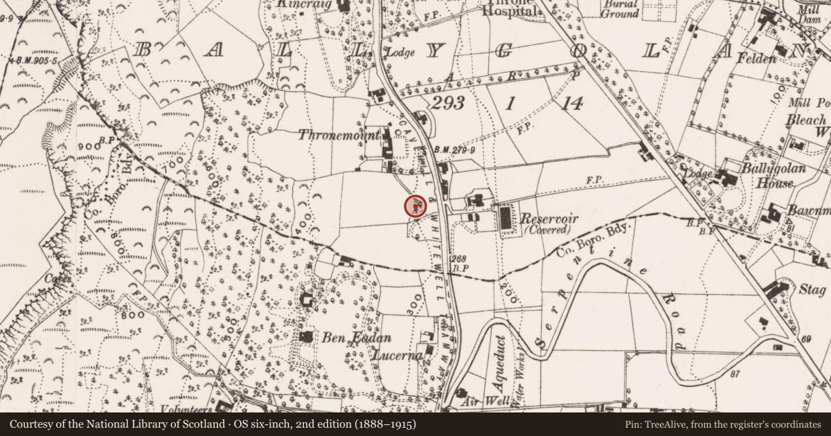 Ordnance Survey six-inch map, 2nd edition (1888–1915) covering the location of 3 Ben Madigan Park, Ballygolan, Belfast, with a pin at the register's coordinates