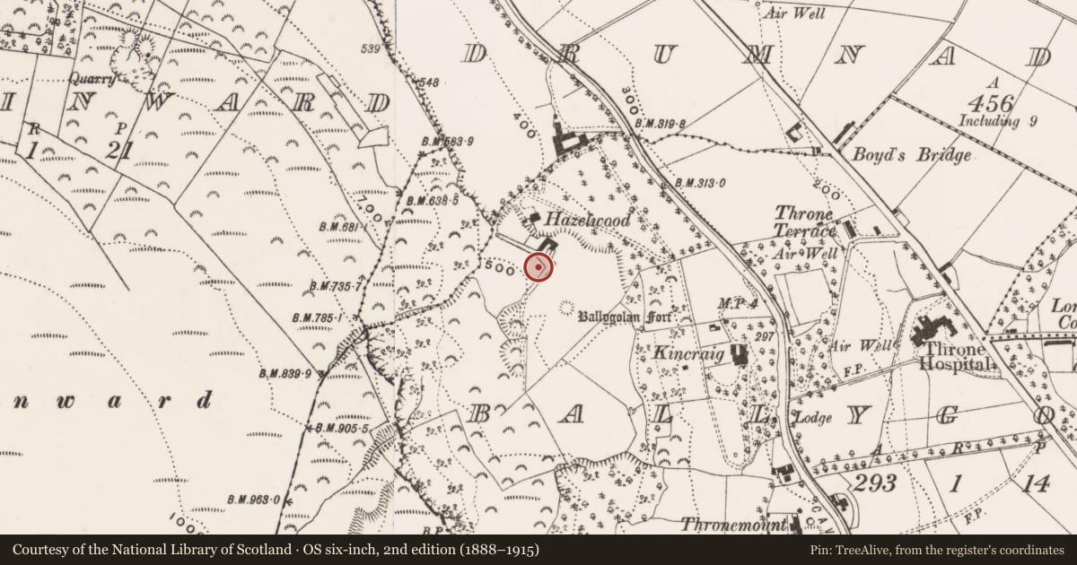 Ordnance Survey six-inch map, 2nd edition (1888–1915) covering the location of Floral Hall, Zoological Gardens, Antrim Road, Belfast, Co Antrim, BT36 7PN, Ballygolan, Belfast, with a pin at the register's coordinates