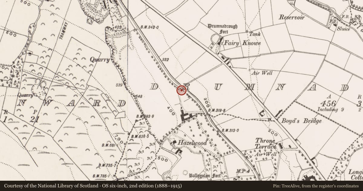 Ordnance Survey six-inch map, 2nd edition (1888–1915) covering the location of Bandstand at Belfast Zoo, Drumnadrough, Belfast, with a pin at the register's coordinates