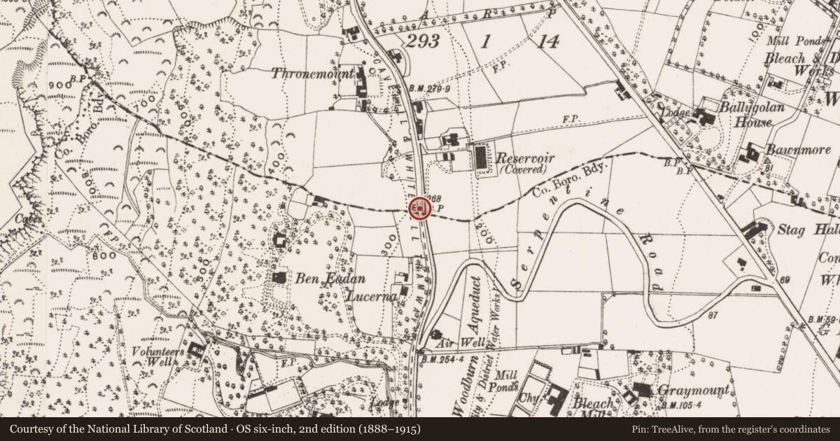 Ordnance Survey six-inch map, 2nd edition (1888–1915) covering the location of Parliamentary Boundary Post, Ballygolan/Green Castle, Belfast, with a pin at the register's coordinates