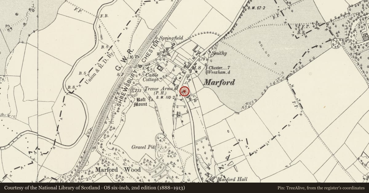 Ordnance Survey six-inch map, 2nd edition (1888–1913) covering the location of Beechmount, Gresford, Wrexham, with a pin at the register's coordinates