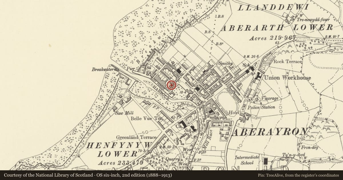 Ordnance Survey six-inch map, 2nd edition (1888–1913) covering the location of Fairview, Aberaeron, Ceredigion, with a pin at the register's coordinates