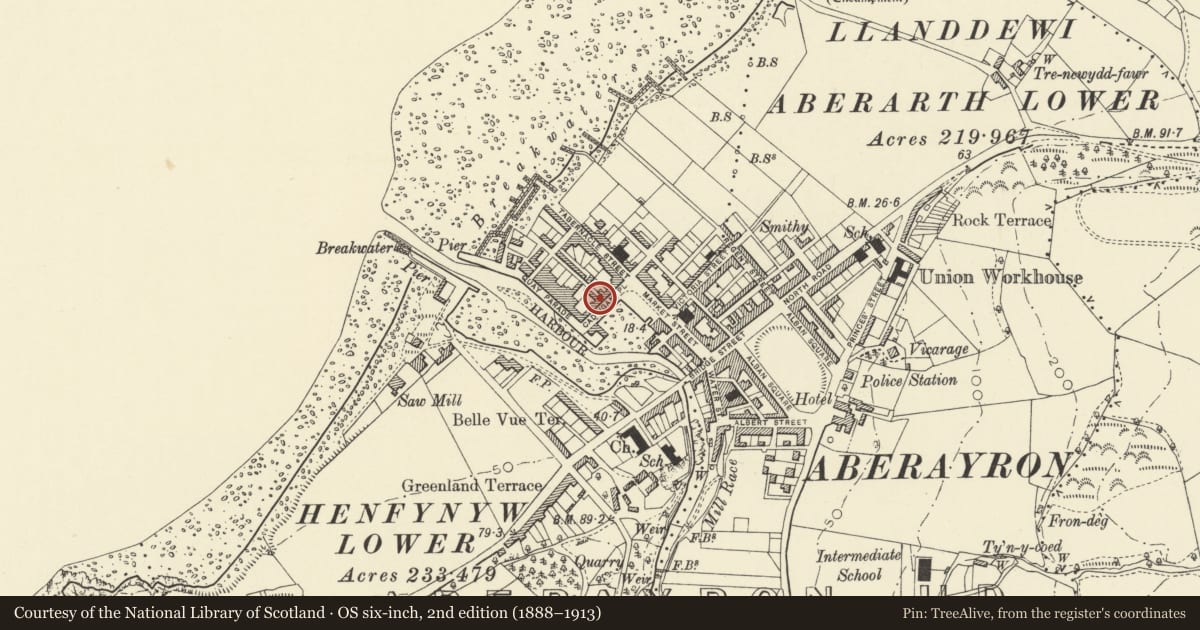 Ordnance Survey six-inch map, 2nd edition (1888–1913) covering the location of Tyssul House, Aberaeron, Ceredigion, with a pin at the register's coordinates