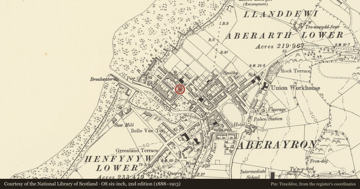 Ordnance Survey six-inch map, 2nd edition (1888–1913) covering the location of 7 Cadwgan Place, Aberaeron, Ceredigion, with a pin at the register's coordinates