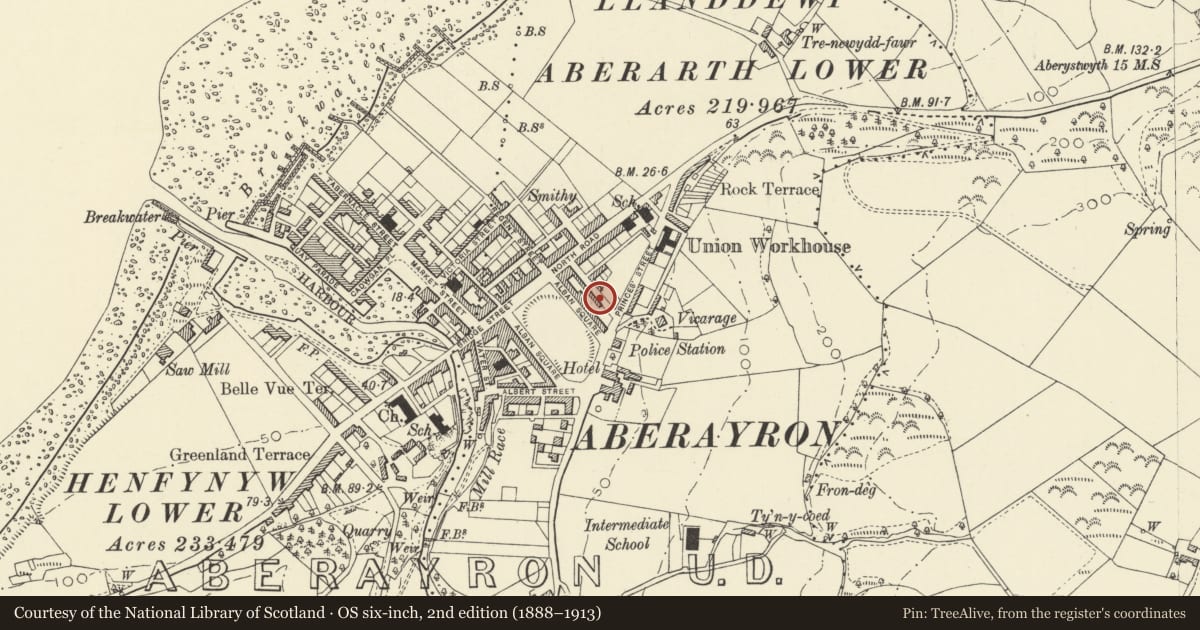 Ordnance Survey six-inch map, 2nd edition (1888–1913) covering the location of Building to rear of No 17 Alban Square, Aberaeron, Ceredigion, with a pin at the register's coordinates
