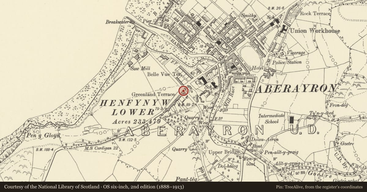 Ordnance Survey six-inch map, 2nd edition (1888–1913) covering the location of Awelon, Aberaeron, Ceredigion, with a pin at the register's coordinates